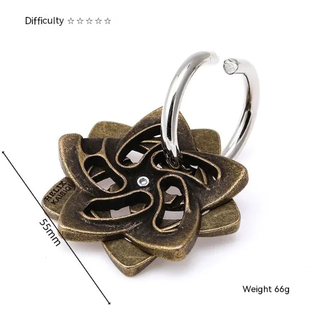 Brainy Locks Puzzle Set